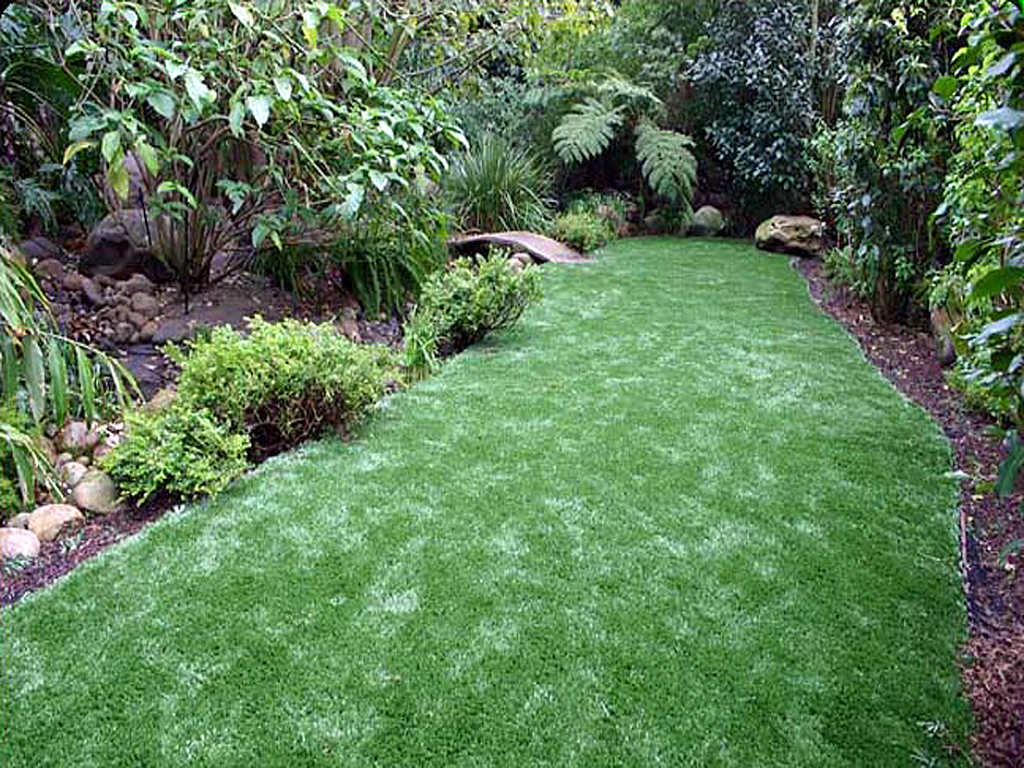 Artificial Lawn Cumberland Gap Tennessee City Landscape Backyard