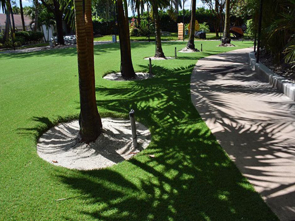 Artificial Lawn Huntland, Tennessee Watch Dogs, Commercial Landscape