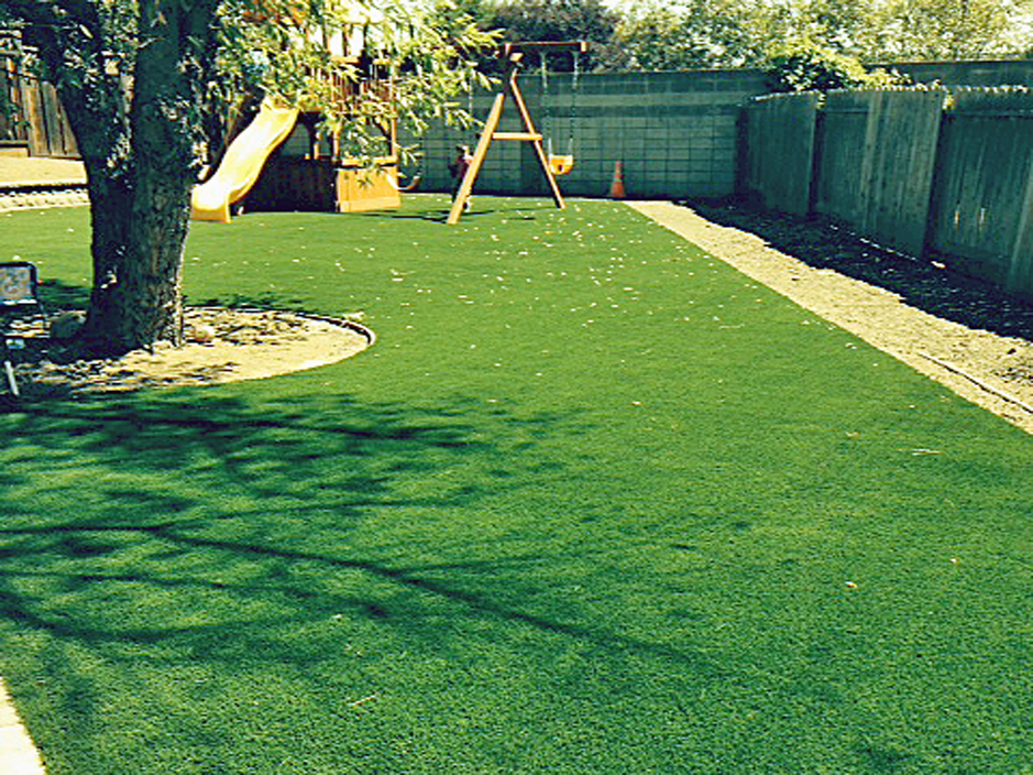 Artificial Lawn Jacksboro, Tennessee Roof Top, Backyard Design