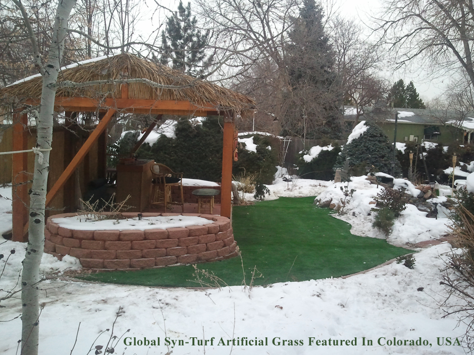 Artificial Turf Cost Ashland City Tennessee Landscape Ideas
