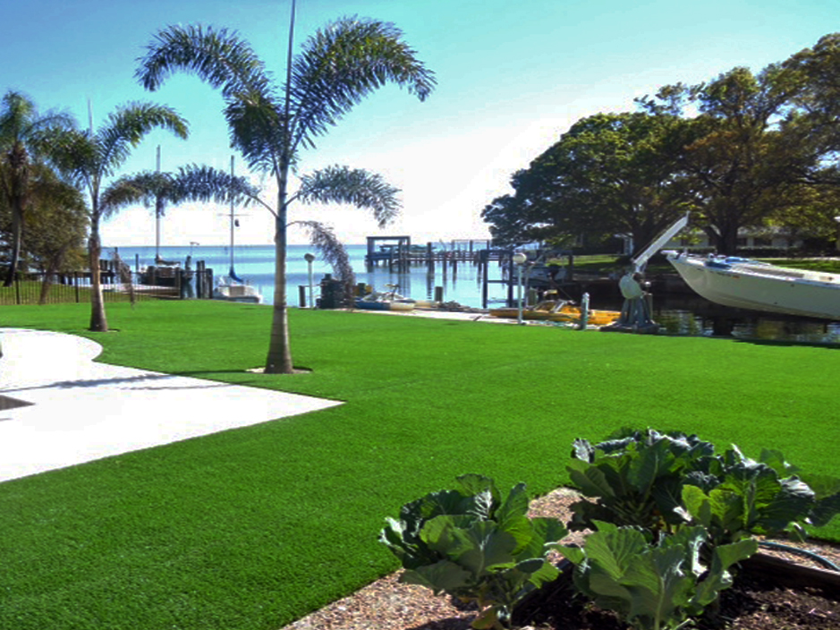 Fake Grass Carpet Red Bank Tennessee Home And Garden Backyard
