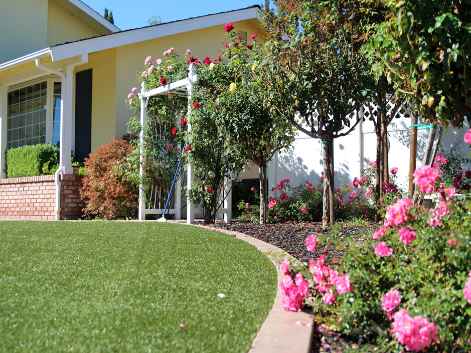 Grass Turf Baileyton, Tennessee Backyard Playground, Landscaping Ideas For Front Yard