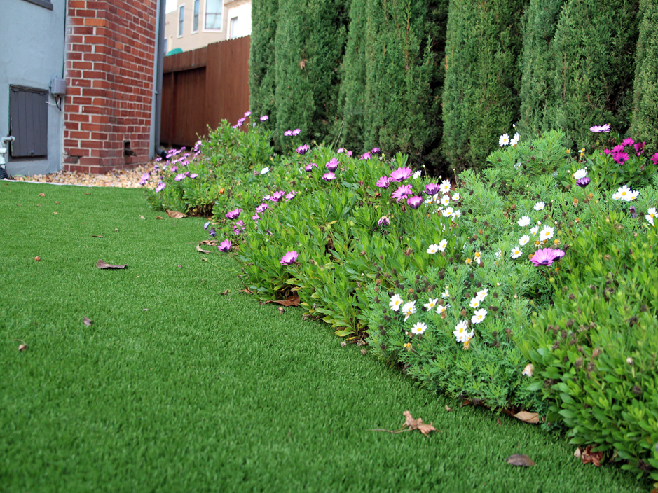Grass Turf Wartburg, Tennessee Landscaping, Front Yard