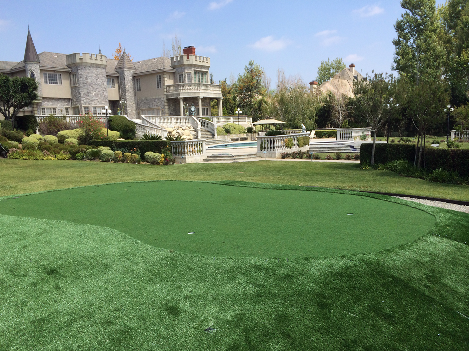 Synthetic Grass Cost Springfield, Tennessee Landscape Ideas, Front Yard Landscaping