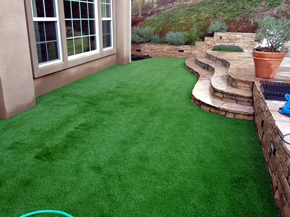 Synthetic Grass Englewood Tennessee Lawn And Garden Backyard Ideas