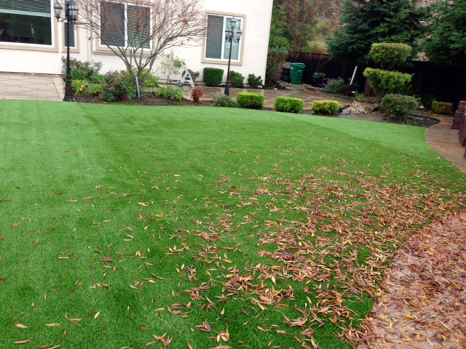 Synthetic Turf Big Sandy, Tennessee Backyard Deck Ideas, Backyard Design