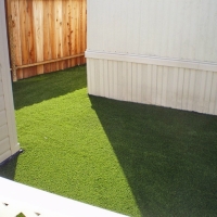 Artificial Grass Carpet Allardt, Tennessee Landscaping Business, Backyard Makeover