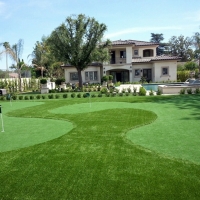 Artificial Grass Carpet Saint Joseph, Tennessee Putting Green Carpet, Small Front Yard Landscaping