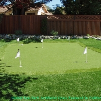 Artificial Grass Goodlettsville, Tennessee Landscaping, Backyard Ideas