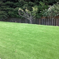 Artificial Grass Installation Smyrna, Tennessee Garden Ideas, Backyard Landscaping