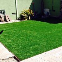 Artificial Grass Townsend, Tennessee Hotel For Dogs, Backyard Garden Ideas