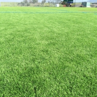 Artificial Lawn LaFollette, Tennessee Backyard Playground