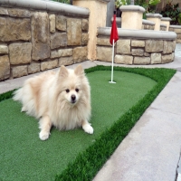 Artificial Turf Cost Loudon, Tennessee Putting Green Flags, Backyard Landscape Ideas