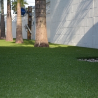 Fake Grass Carpet Condon, Tennessee Garden Ideas, Commercial Landscape