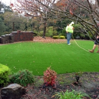 Faux Grass Wrigley, Tennessee Landscape Ideas, Backyards