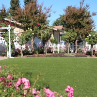 Grass Carpet Liberty, Tennessee Backyard Deck Ideas, Front Yard Design