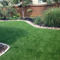 Grass Installation Dyersburg, Tennessee Pictures Of Dogs, Backyard Makeover