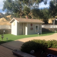 Green Lawn Bethpage, Tennessee Indoor Putting Greens, Commercial Landscape