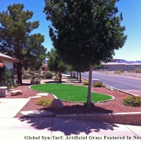 Outdoor Carpet Belle Meade, Tennessee Garden Ideas, Small Front Yard Landscaping