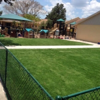 Outdoor Carpet Jamestown, Tennessee Landscape Ideas, Commercial Landscape