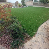 Plastic Grass Powells Crossroads, Tennessee Landscaping Business, Backyard Design