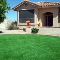 Synthetic Grass Cost South Carthage, Tennessee Rooftop, Front Yard Landscaping