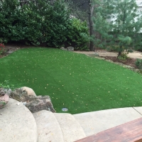 Synthetic Lawn Tellico Plains, Tennessee Landscaping Business, Backyard Designs