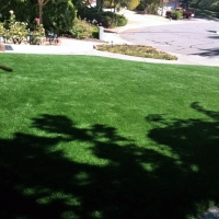 Synthetic Turf Chapel Hill, Tennessee Design Ideas, Front Yard Design