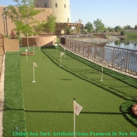 Synthetic Turf Oak Hill, Tennessee Gardeners, Beautiful Backyards