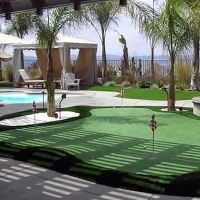 Synthetic Turf Ridgeside, Tennessee Landscape Photos, Backyard Designs