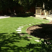 Turf Grass Dandridge, Tennessee Design Ideas, Backyard Design