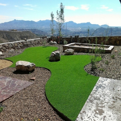 Artificial Grass Bolivar, Tennessee Pet Paradise, Backyard Landscape Ideas