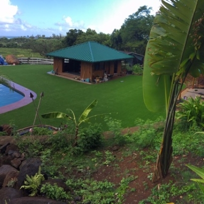 Artificial Grass Carpet Bartlett, Tennessee Lawn And Garden, Backyard Pool