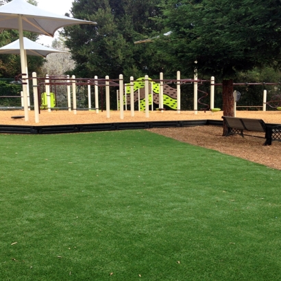 Artificial Grass Carpet Braden, Tennessee Playground Turf, Backyard Garden Ideas