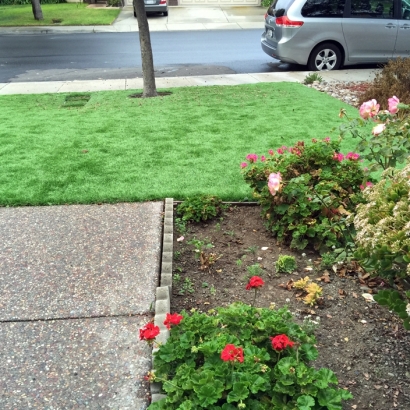 Artificial Grass Carpet Lone Oak, Tennessee Lawns, Landscaping Ideas For Front Yard