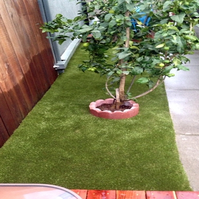 Artificial Grass Carpet Niota, Tennessee City Landscape, Backyard Landscaping