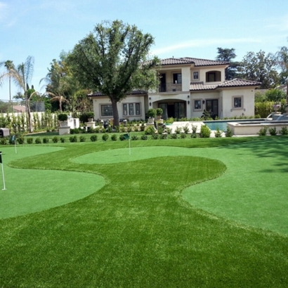 Artificial Grass Carpet Saint Joseph, Tennessee Putting Green Carpet, Small Front Yard Landscaping