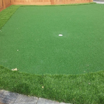 Artificial Grass Carpet South Pittsburg, Tennessee Diy Putting Green