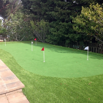 Artificial Grass Carpet Walnut Hill, Tennessee Office Putting Green, Backyard