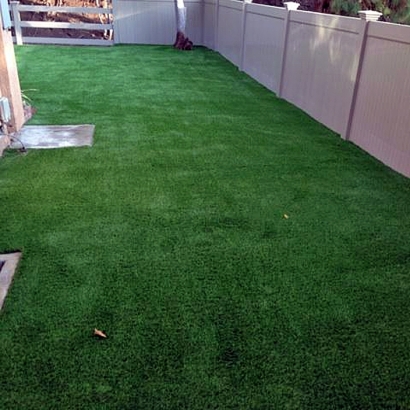 Artificial Grass Installation Atwood, Tennessee Paver Patio, Backyard Designs