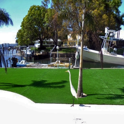 Artificial Grass Installation Kingston Springs, Tennessee City Landscape, Backyard Makeover