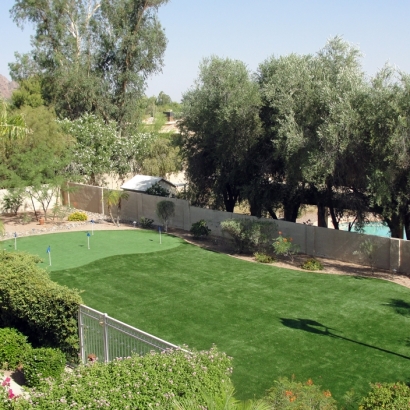 Artificial Grass Installation Signal Mountain, Tennessee Landscape Photos, Backyard