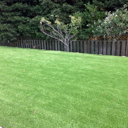 Artificial Grass Installation Smyrna, Tennessee Garden Ideas, Backyard Landscaping