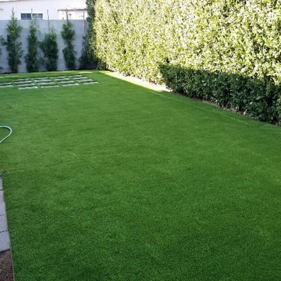 Artificial Grass Installation Sneedville, Tennessee Lawn And Garden, Backyard Garden Ideas