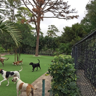 Artificial Grass Installation Trenton, Tennessee Artificial Grass For Dogs, Commercial Landscape