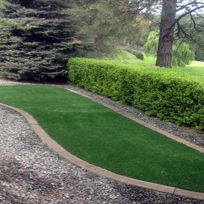 Artificial Grass Linden, Tennessee Landscaping