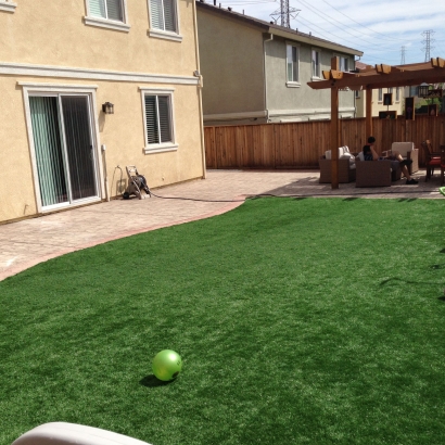 Artificial Grass Tazewell, Tennessee Landscape Ideas, Beautiful Backyards