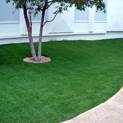 Artificial Lawn Alexandria, Tennessee Landscape Photos, Commercial Landscape