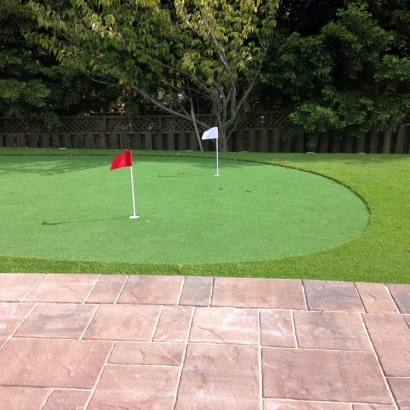 Artificial Lawn Brentwood Estates, Tennessee Landscaping Business, Backyard Design