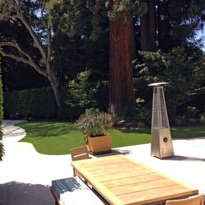 Artificial Lawn Cedar Hill, Tennessee Landscape Design, Backyard Landscaping Ideas